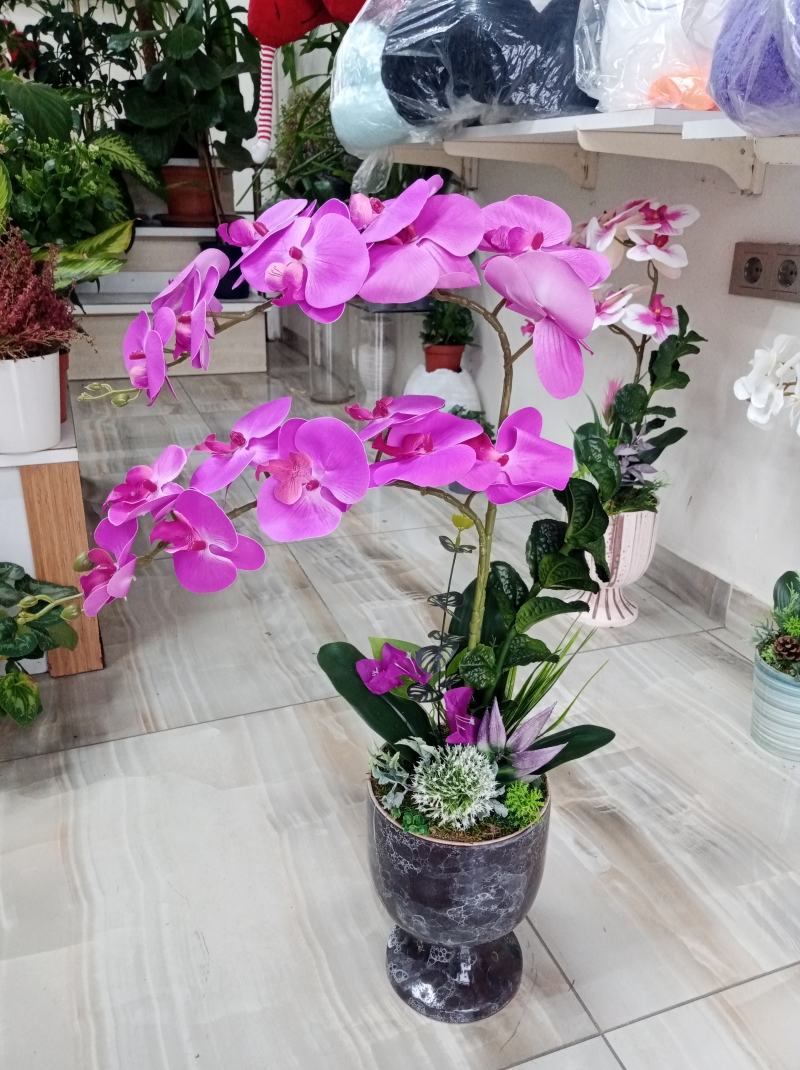 Yapay mor renkli Orkide 