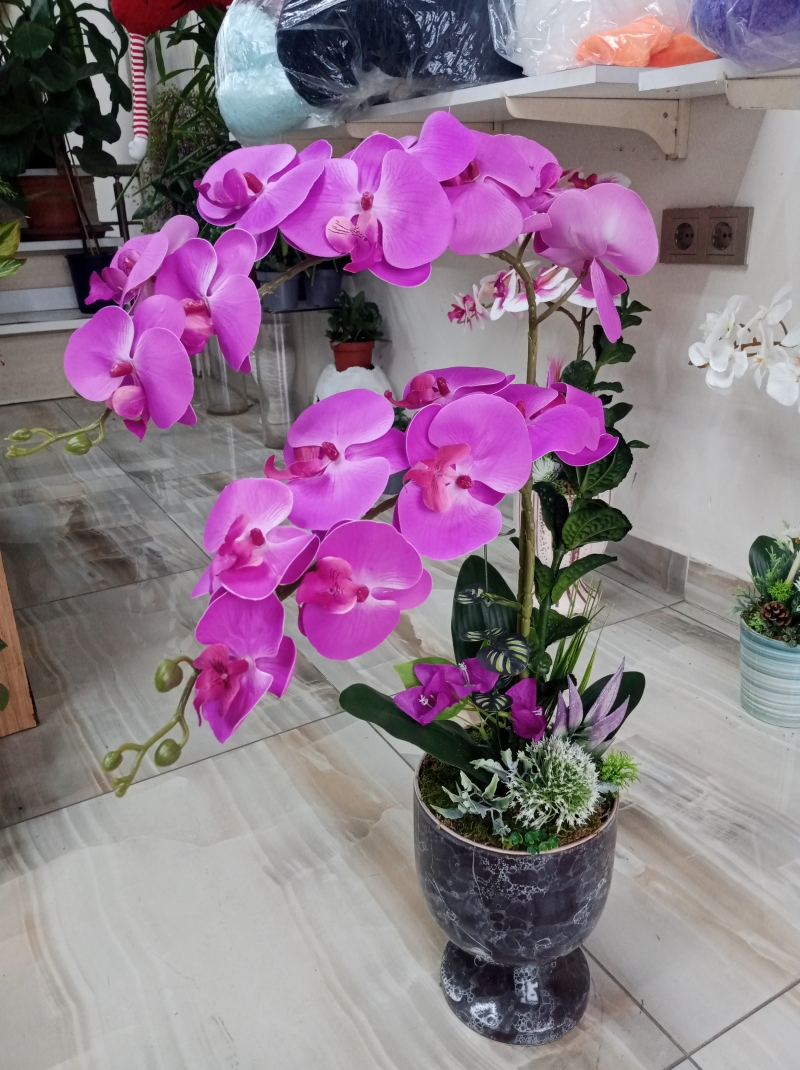 Yapay mor renkli Orkide 