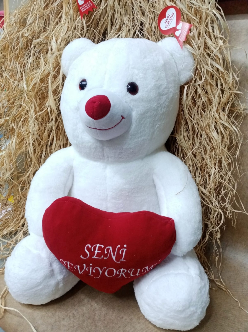 Seni seviyorum Ayıcık