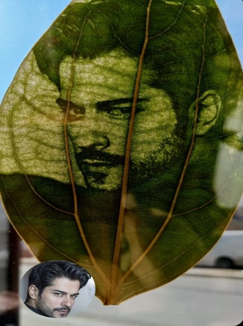 KISISEL OZEL YAPRAK FOTORAG SANAT 