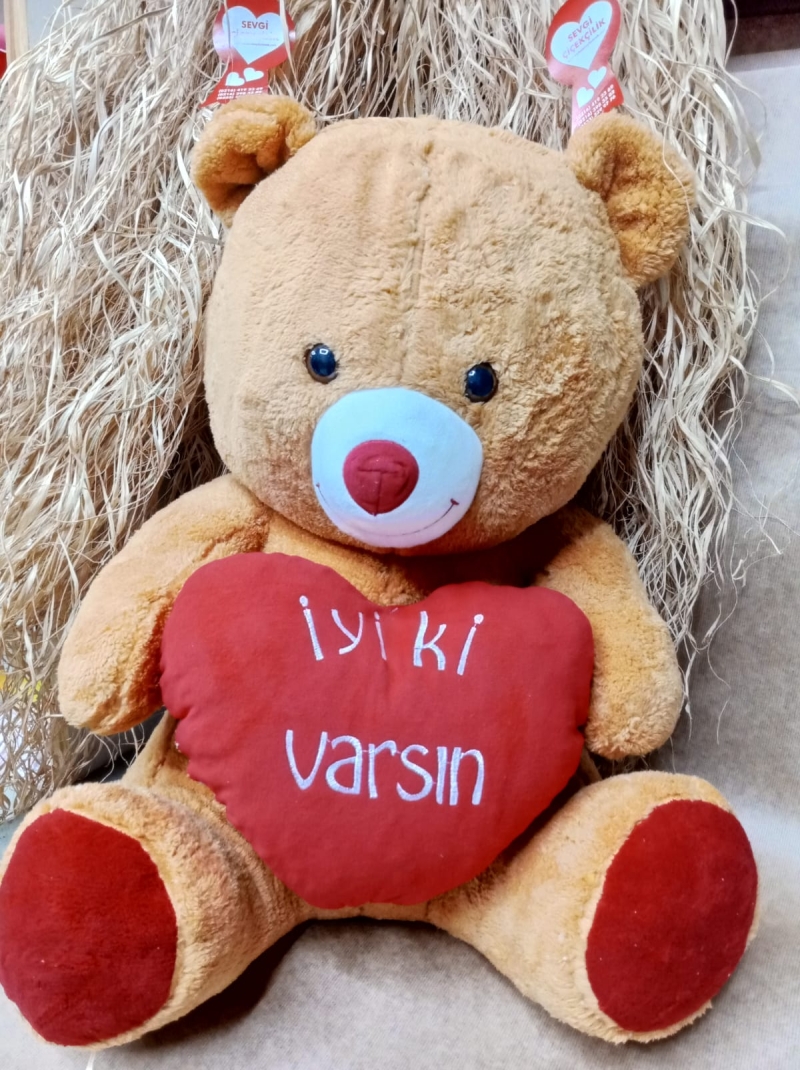 İyi ki varsın Ayıcık