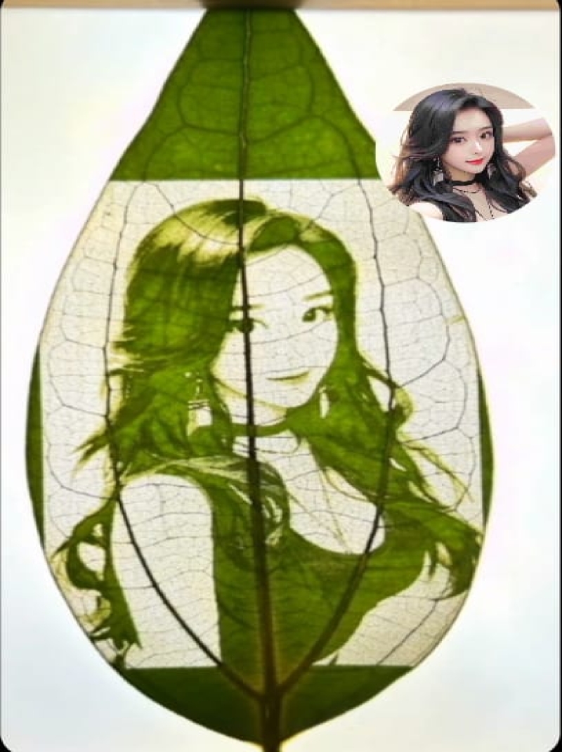 KISISEL OZEL YAPRAK FOTORAG SANAT 