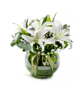 Bulutların Dansı Mis Kokulu Lilyumlar 