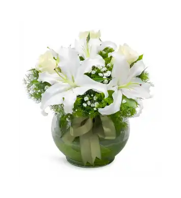 Bulutların Dansı Gül ile 