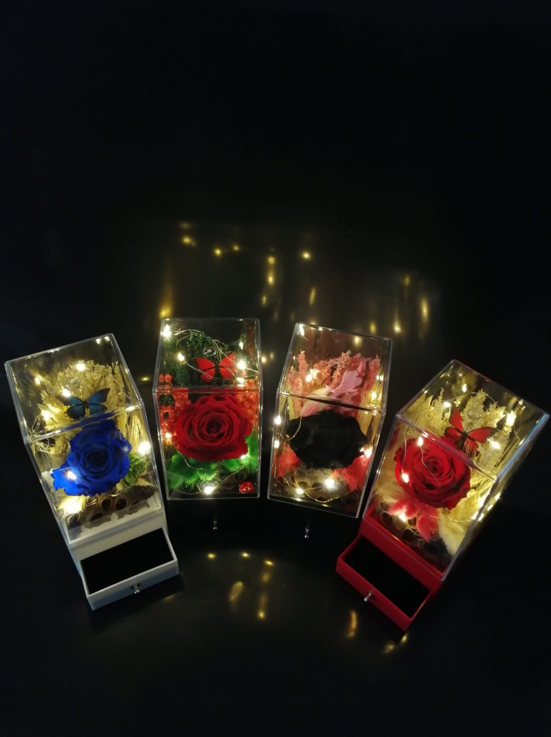 Uzun kare çekmeceli şoklanmış Gül 