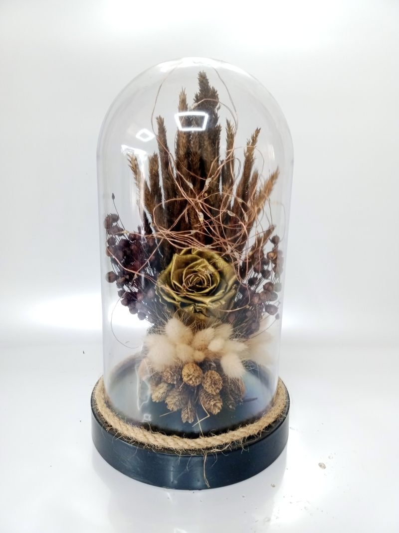 Işıklık şoklanmış zumrut gül 