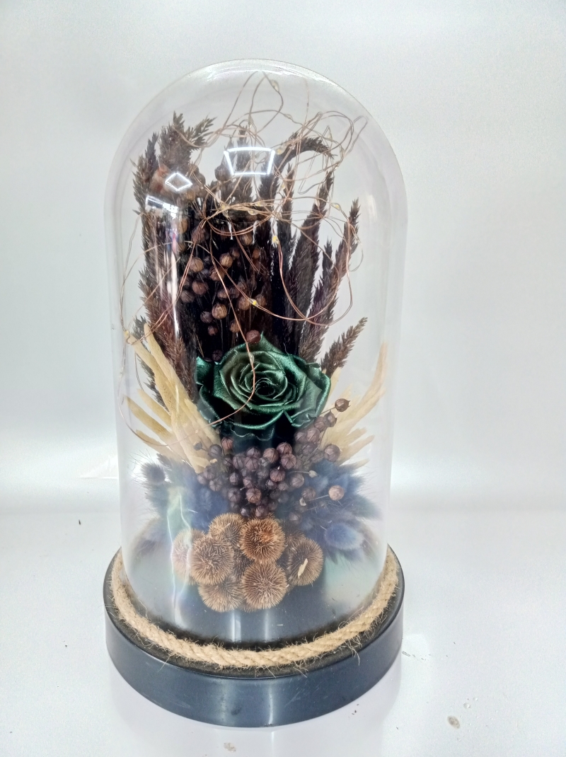 Işıklık şoklanmış zumrut gül 