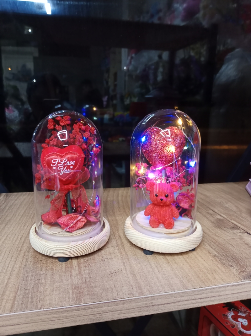 Mini boyutlu ışıklı ters fanus