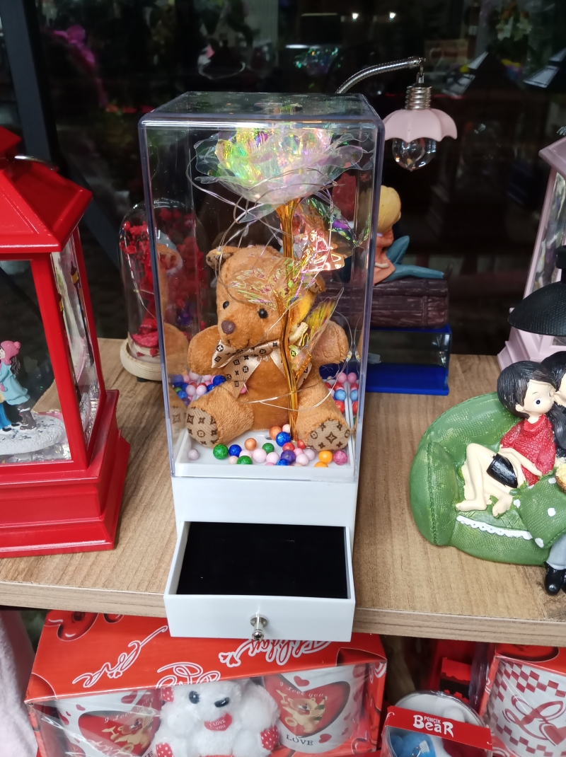 Ayı ve ışıklı takı kutusu 