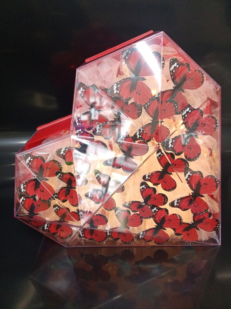 Işıklı kalpli kelebek 