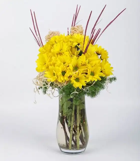 Vazoda Sarı Papatya