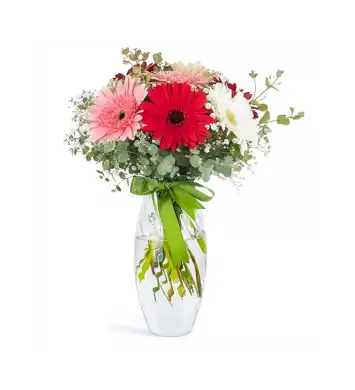 Vazoda Renkli Gerberalar