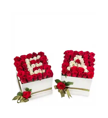 İkili kişiye özel aşkın baş harfi 