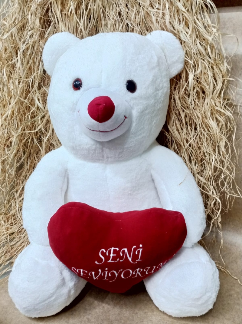 Seni seviyorum Ayıcık