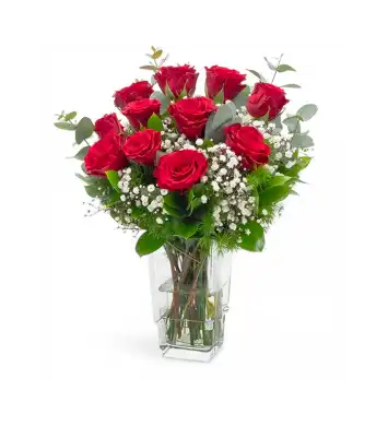  Vazoda Kırmızı Güller