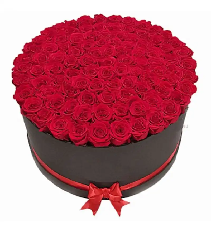 Kutuda 101 Kırmızı Gül 